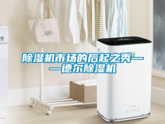 企业新闻除湿机市场的后起之秀——德尔除湿机