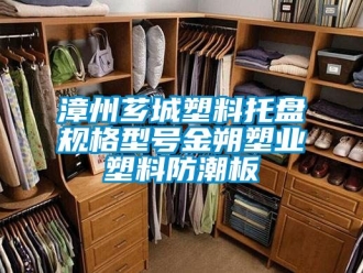 常见问题漳州芗城塑料托盘规格型号金朔塑业塑料防潮板