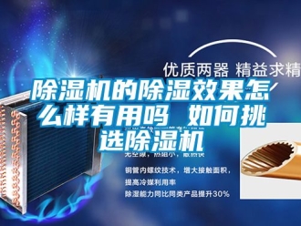 企业新闻除湿机的除湿效果怎么样有用吗 如何挑选除湿机