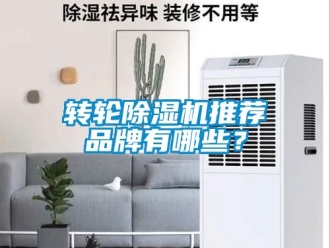 常见问题转轮除湿机推荐品牌有哪些？