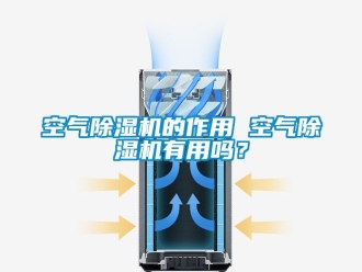 行业新闻空气除湿机的作用 空气除湿机有用吗？