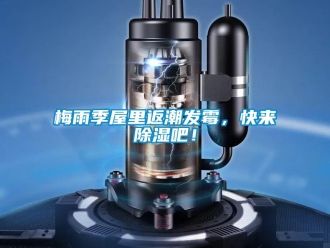 行业新闻梅雨季屋里返潮发霉，快来除湿吧！