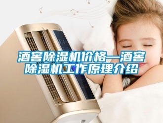 企业新闻酒窖除湿机价格—酒窖除湿机工作原理介绍