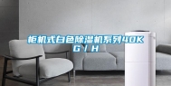 柜机式白色除湿机系列40KG／H