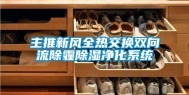 主推新风全热交换双向流除霾除湿净化系统