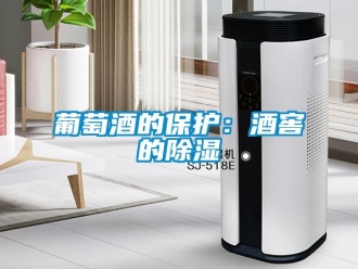 行业新闻葡萄酒的保护：酒窖的除湿