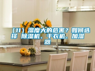企业新闻（11）湿度大的危害？如何选择 除湿机、干衣机、加湿器