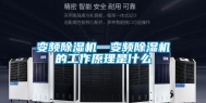 变频除湿机—变频除湿机的工作原理是什么