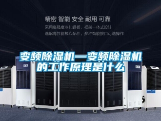 企业新闻变频除湿机—变频除湿机的工作原理是什么