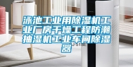 泳池工业用除湿机工业厂房干燥工程防潮抽湿机工业车间除湿器