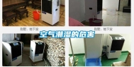 空气潮湿的危害