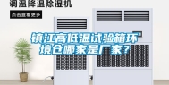 镇江高低温试验箱环境仓哪家是厂家？