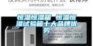恒温恒湿箱 恒温恒湿试验箱十大品牌优势