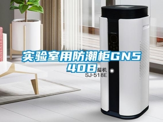 常见问题实验室用防潮柜GN540B