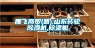 雁飞商贸(图),山东转轮除湿机,除湿机