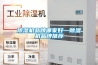 除湿机品牌哪家好—除湿机品牌推荐