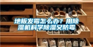 地板发霉怎么办？用除湿机科学除湿又防霉