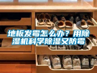 行业新闻地板发霉怎么办？用除湿机科学除湿又防霉