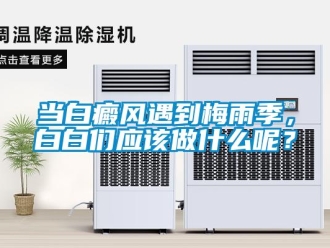 企业新闻当白癜风遇到梅雨季，白白们应该做什么呢？