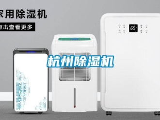 行业新闻杭州除湿机