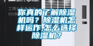 你真的了解除湿机吗？除湿机怎样运作,怎么选择除湿机？