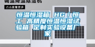恒温恒湿箱 HG／恒工 高精度恒温恒湿试验箱 定制实验设备厂家