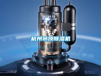 行业新闻杭州吊顶除湿机