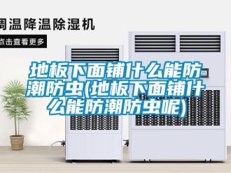 企业新闻地板下面铺什么能防潮防虫(地板下面铺什么能防潮防虫呢)