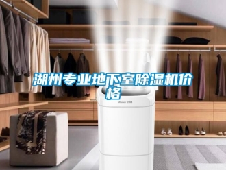 企业新闻湖州专业地下室除湿机价格