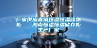 厂家供应直销恒温恒湿储物柜   湖南恒温恒湿储存柜生产厂家