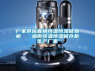 知识百科厂家供应直销恒温恒湿储物柜   湖南恒温恒湿储存柜生产厂家