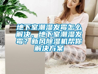 常见问题地下室潮湿发霉怎么解决，地下室潮湿发霉？新风除湿机帮你解决方案