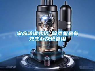 行业新闻家庭除湿妙招 除湿机最有效生石灰也管用