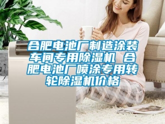 常见问题合肥电池厂制造涂装车间专用除湿机 合肥电池厂喷涂专用转轮除湿机价格