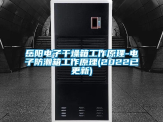 常见问题岳阳电子干燥箱工作原理-电子防潮箱工作原理(2022已更新)