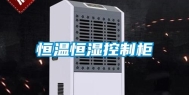 恒温恒湿控制柜