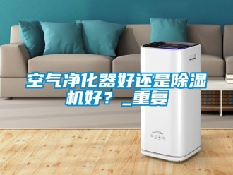 行业新闻空气净化器好还是除湿机好？_重复