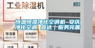 恒温恒湿净化空调机 安庆净化空调 霖达｜服务完善
