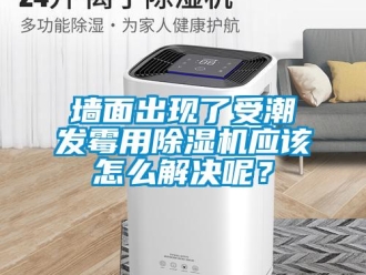 行业新闻墙面出现了受潮发霉用除湿机应该怎么解决呢？