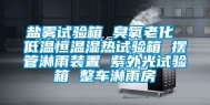 盐雾试验箱 臭氧老化 低温恒温湿热试验箱 摆管淋雨装置 紫外光试验箱 整车淋雨房