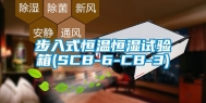 步入式恒温恒湿试验箱(SCB-6-CB-3)