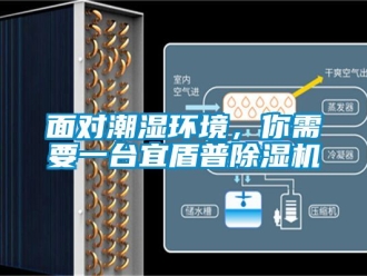 行业新闻面对潮湿环境，你需要一台宜盾普除湿机