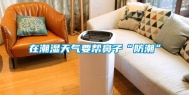 在潮湿天气要帮鼻子“防潮”