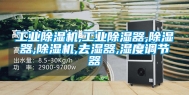 工业除湿机,工业除湿器,除湿器,除湿机,去湿器,湿度调节器