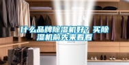 什么品牌除湿机好？买除湿机前先来看看