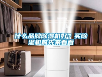 知识百科什么品牌除湿机好？买除湿机前先来看看