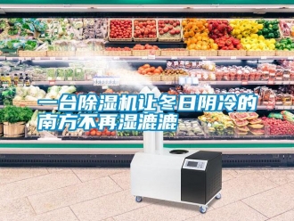 知识百科一台除湿机让冬日阴冷的南方不再湿漉漉