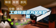 工业除湿器为金库护航