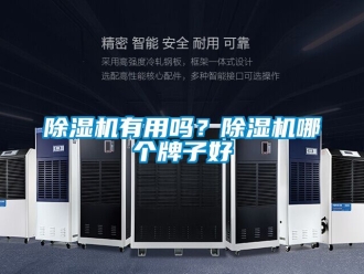 行业新闻除湿机有用吗？除湿机哪个牌子好