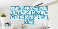直膨式净化空调机组-合肥净化空调-安徽霖达恒温恒湿空调